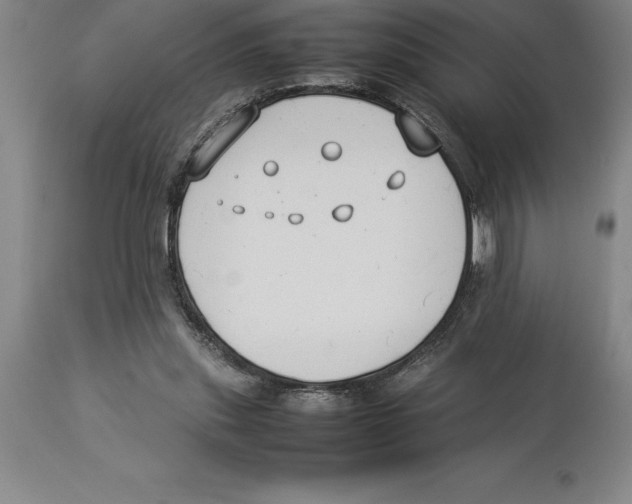 X0000113930253200910231928