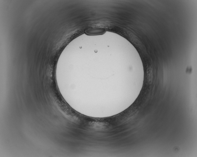 X0000113930255200910231928