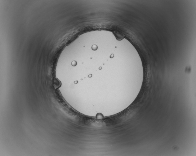 X0000113930258200910231928