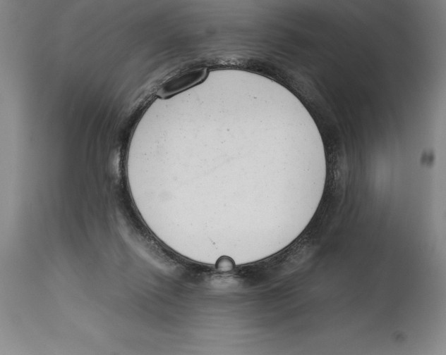 X0000113930262200910231928