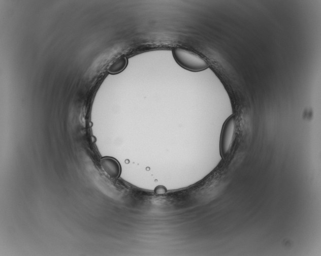 X0000113930264200910231928