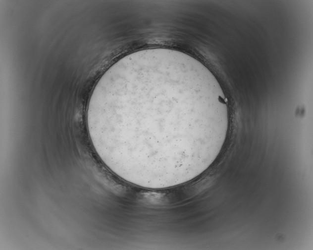 X0000113930265200910231928