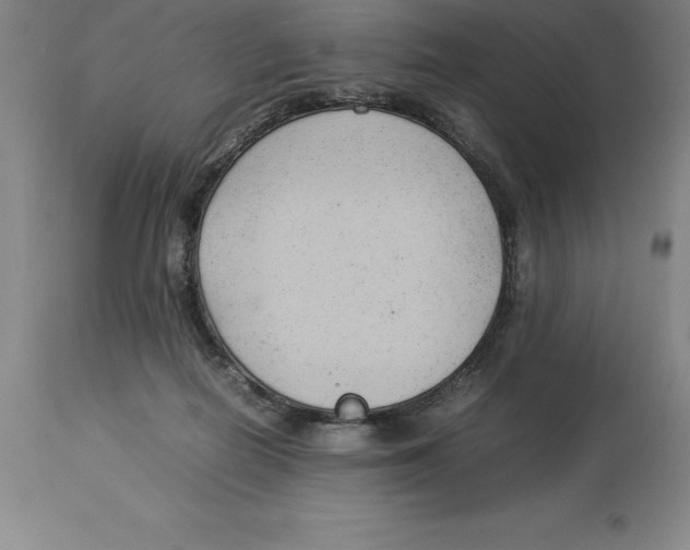 X0000113930266200910231928