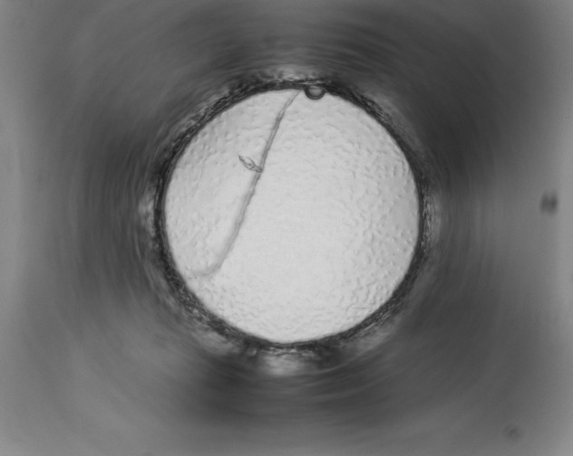 X0000113930269200910231928