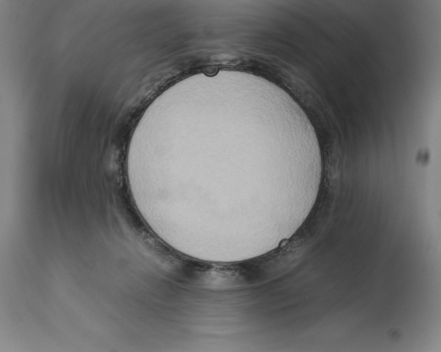 X0000113930270200910231928