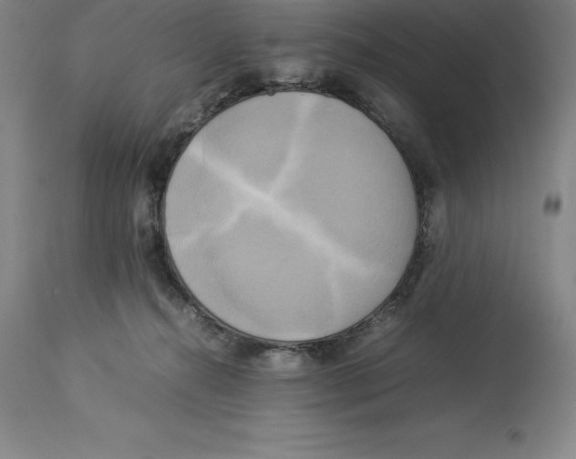 X0000113930272200910231928