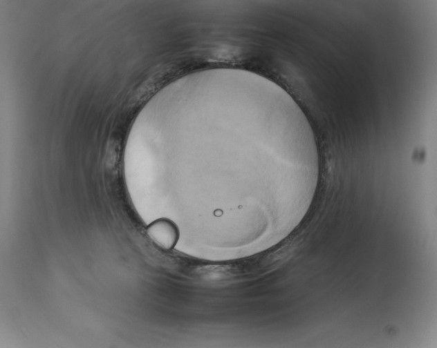 X0000113930273200910231928