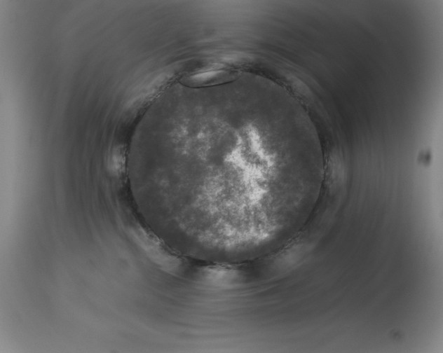 X0000113930284200910231928