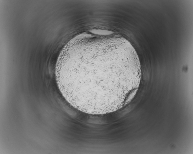 X0000113930285200910231928