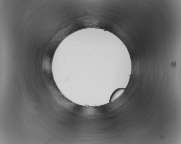 X0000113930287200910231928
