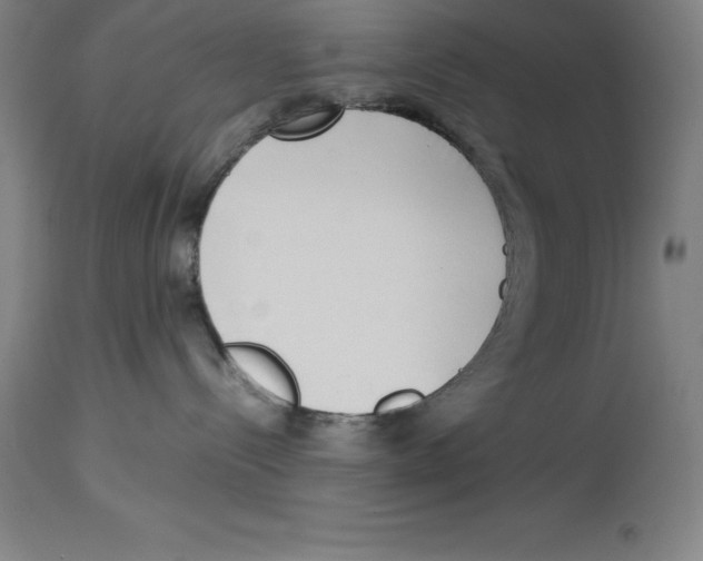 X0000113930288200910231928
