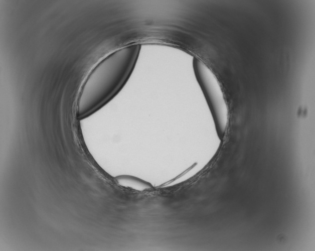 X0000113930289200910231928