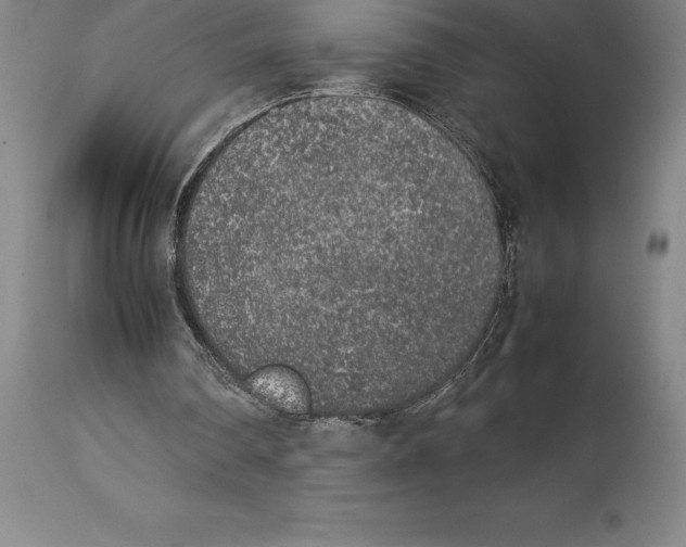 X0000113930290200910231928