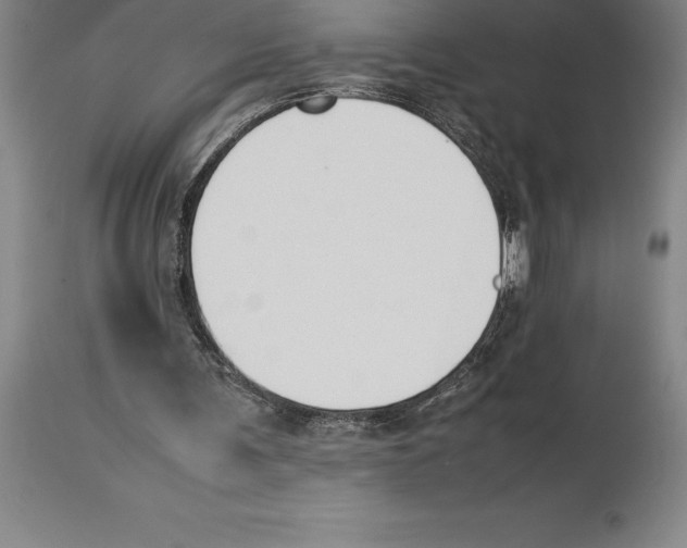 X0000113930291200910231928