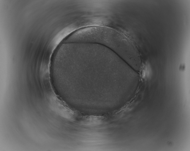 X0000113930292200910231928