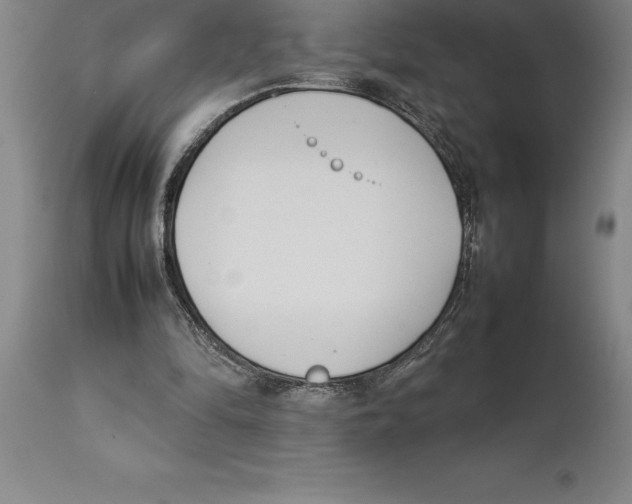 X0000113930294200910231928