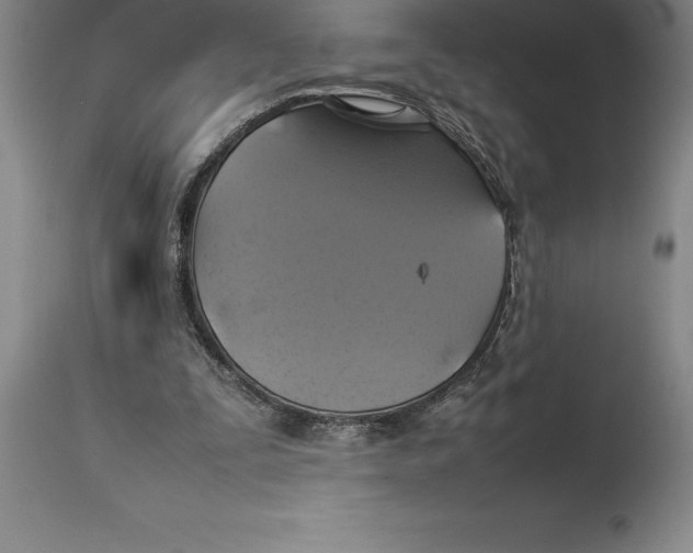 X0000113930295200910231928
