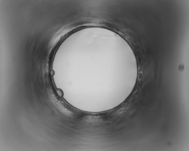 X0000113930296200910231928