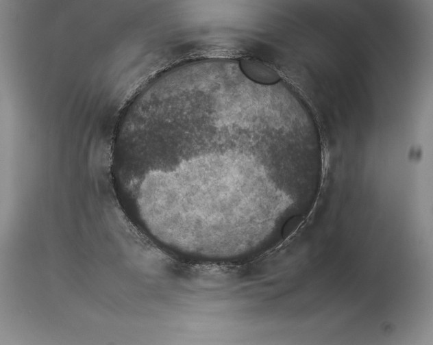 X0000113930297200910231928