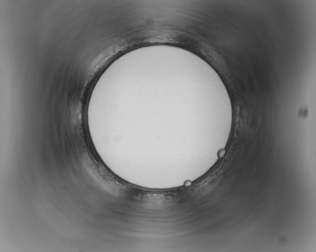 X0000113930298200910231928