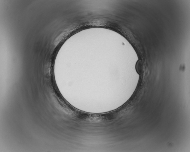 X0000113930299200910231928