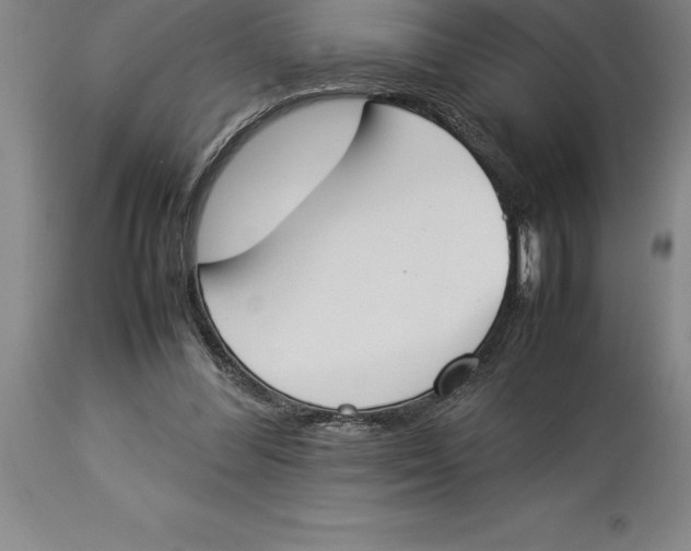 X0000113930300200910231928