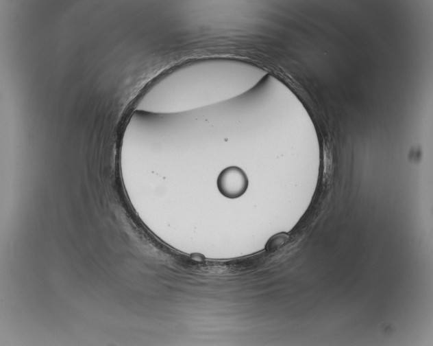 X0000113930301200910231928