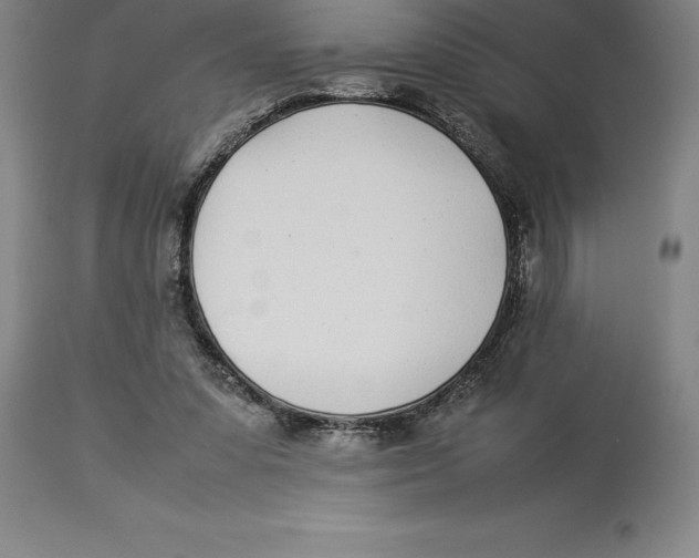X0000113930303200910231927