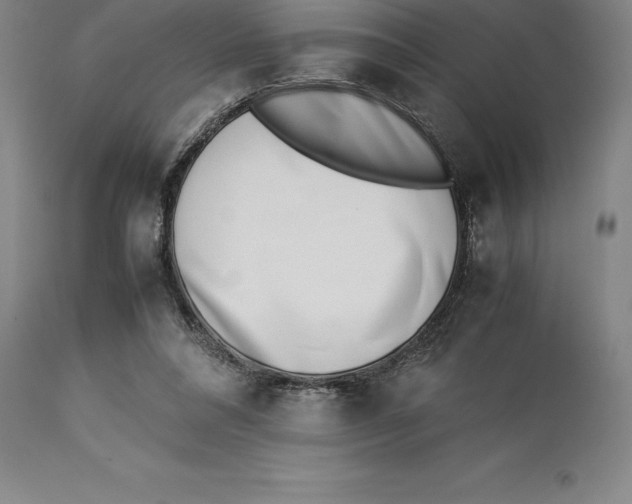 X0000113930304200910231927