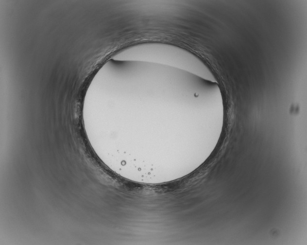 X0000113930305200910231927