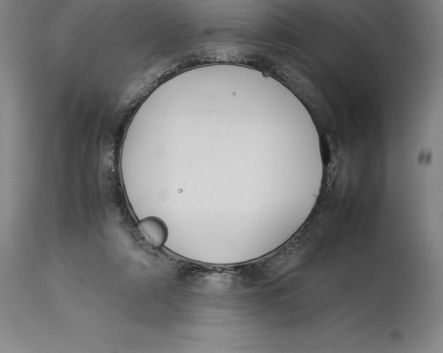 X0000113930306200910231927