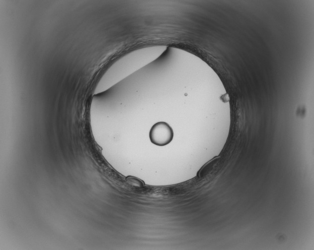 X0000113930308200910231927