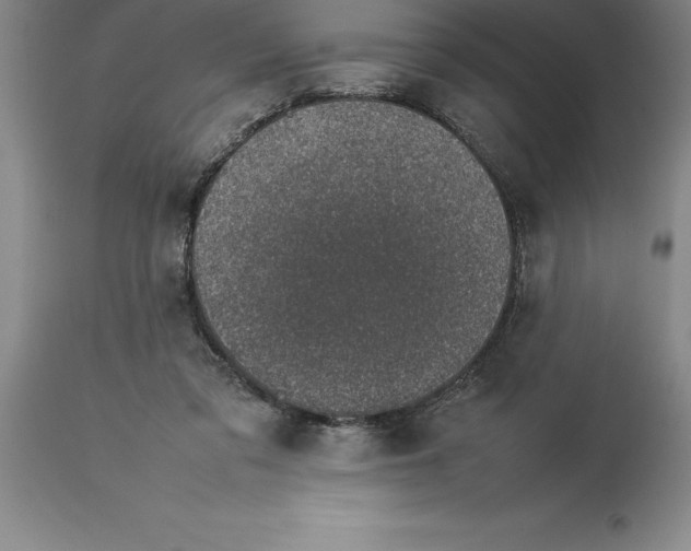 X0000113930309200910231927