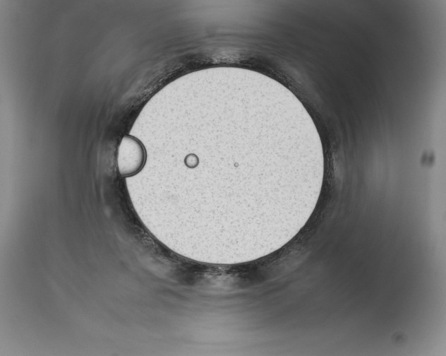 X0000113930311200910231927