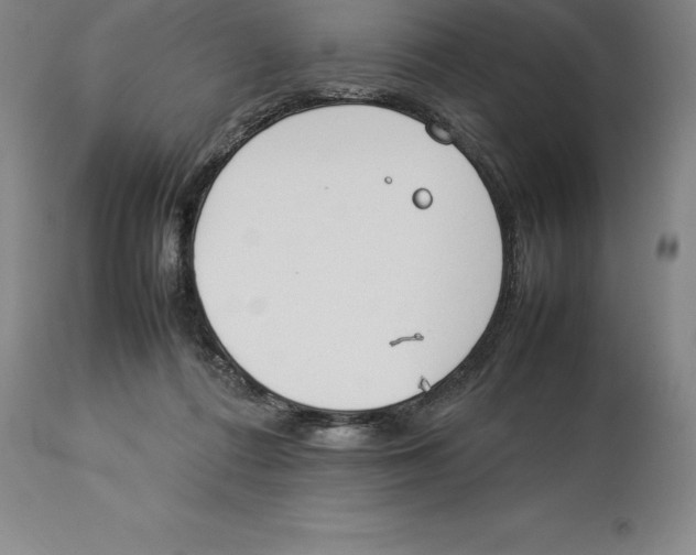 X0000113930312200910231927