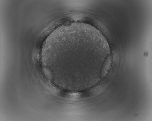 X0000113930313200910231927