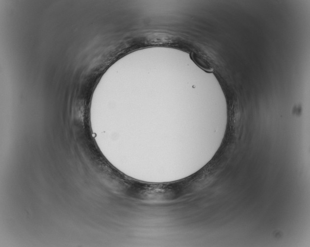 X0000113930315200910231927