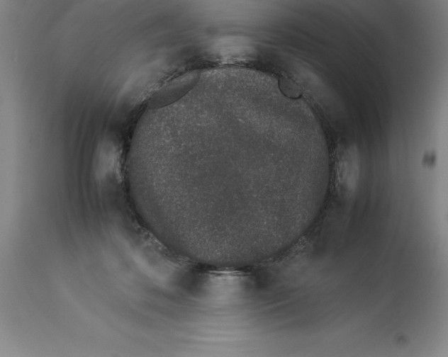 X0000113930316200910231927