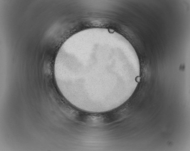 X0000113930317200910231927