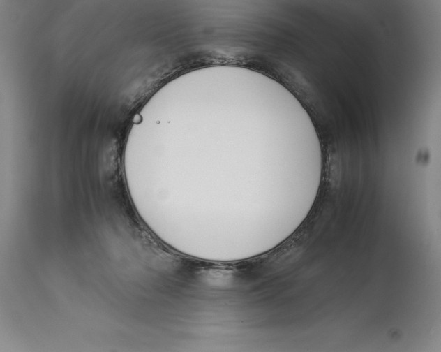 X0000113930318200910231927