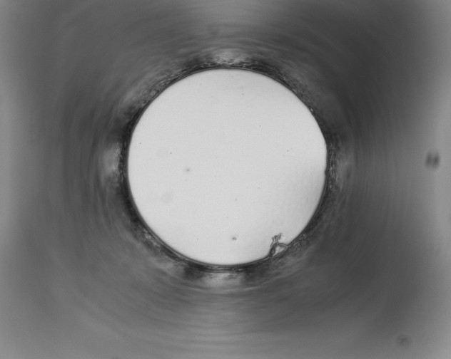 X0000113930319200910231927