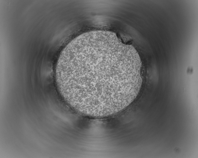 X0000113930320200910231927