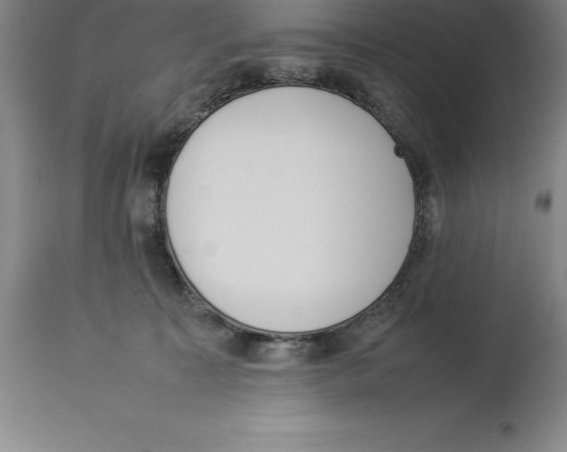X0000113930323200910231927