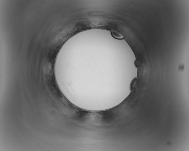 X0000113930327200910231927