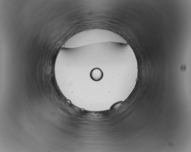 X0000113930328200910231927