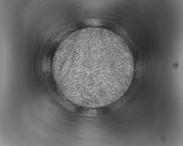 X0000113930330200910231927