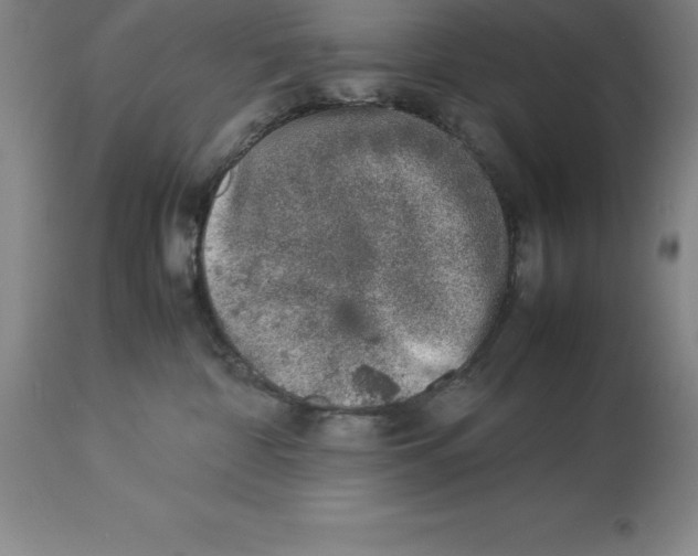X0000113930332200910231927