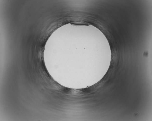 X0000113930333200910231927
