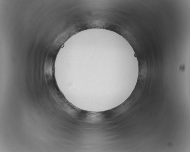 X0000113930334200910231927