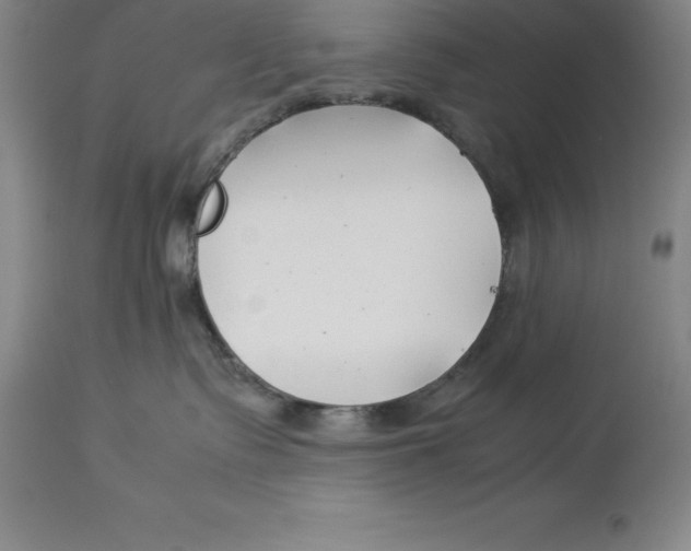 X0000113930335200910231927